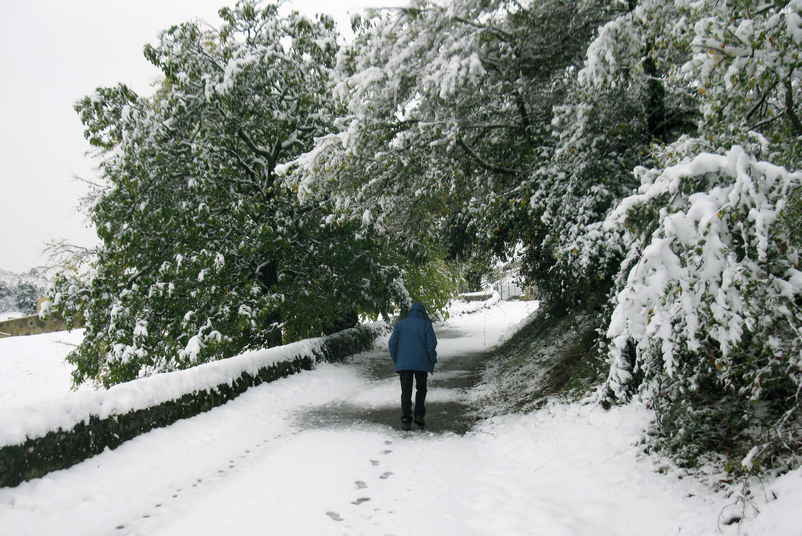 Neige sur le chemin