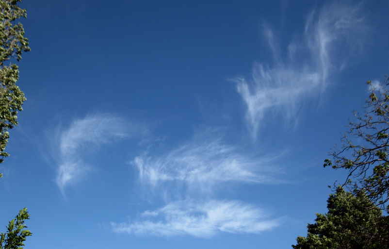 Nuages effilochés dans le ciel bleu