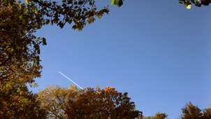 Un avion dans le ciel à la campagne