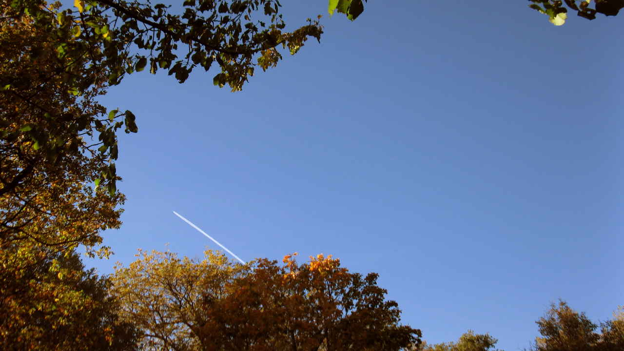 Un avion dans le ciel à la campagne