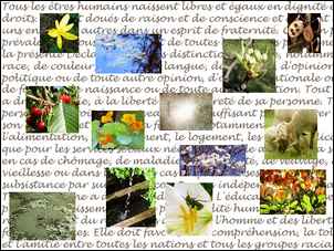 Vingt et un, collage