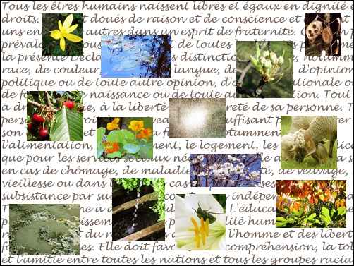 Vingt et un, collage